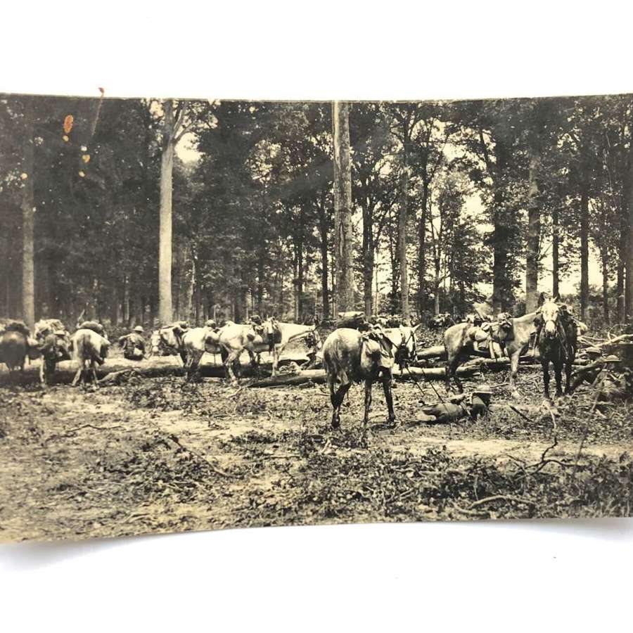 WW1 1918 Western Front Canadian Cavalry Press Photograph.